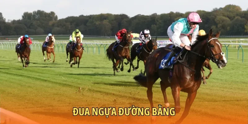 Cuộc đua ở hình thức đường bằng