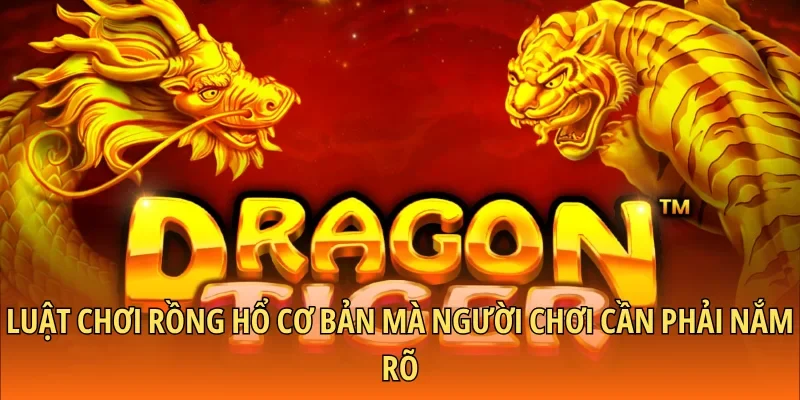 Luật chơi Rồng Hổ cơ bản mà người chơi cần phải nắm rõ