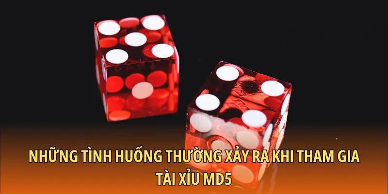 Những tình huống thường xảy ra khi tham gia tài xỉu MD5