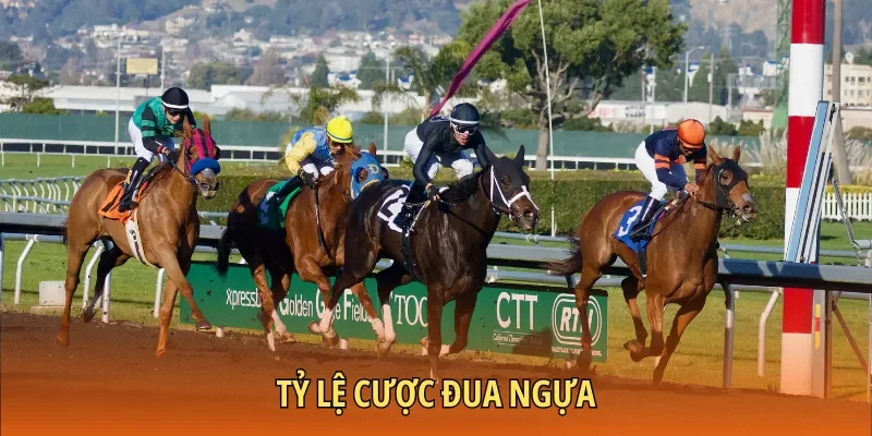 Tỷ Lệ Cược Đua Ngựa – Trang Bị Kiến Thức Rinh Thưởng Cao